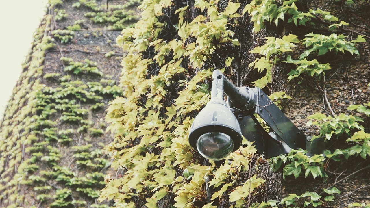 Sustainable Security: A Greener Future of Security Industry.png